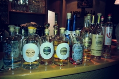 11218990_877876725638083_3972656029194636969_n